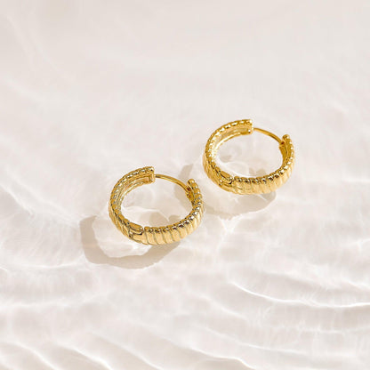 Golden Hoop Earrings - EVRYJEWELS