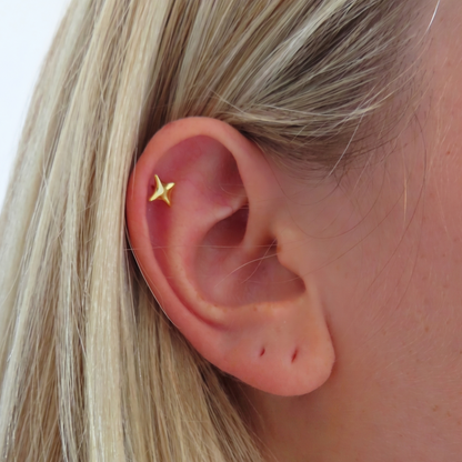 Celeste Earrings - EVRYJEWELS