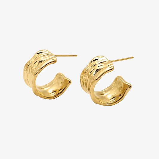 Liquid Shine Earrings - EVRYJEWELS